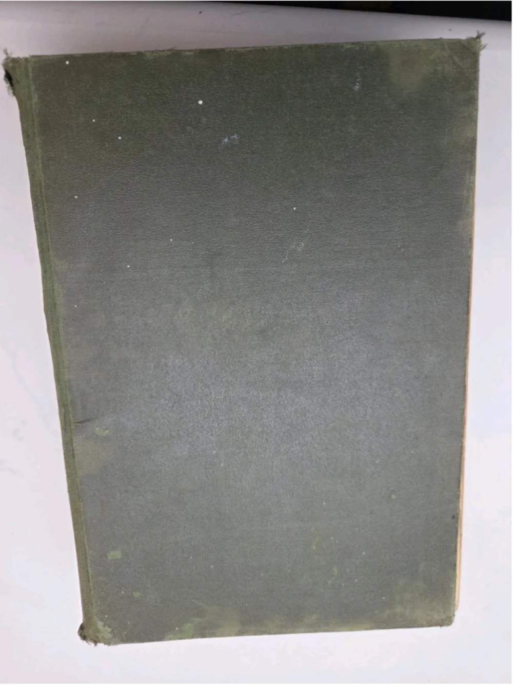 Unbranded antique ralph